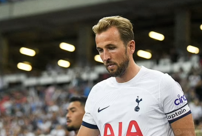 优化的标题 优化的标题